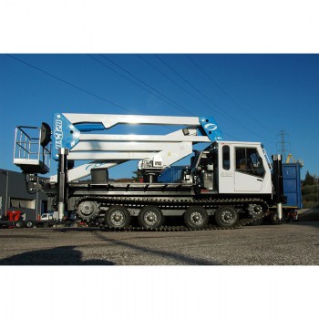 gattonevi1-1024x681
